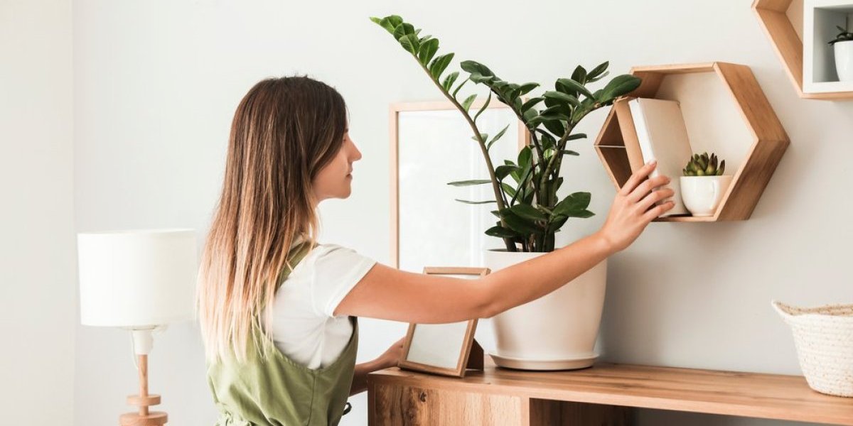 Kuća će da se cakli: Rešite se prašine upotrebom 1 proizvoda bez vode