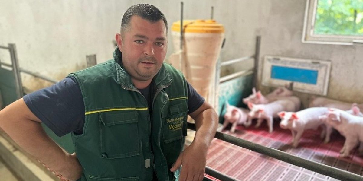 Revolucija u tovljenju prasića stigla u Srbiju, algoritam računa koliko hrane da im date: Vladimir spreman da svoje svinje hrani na taj način (FOTO)
