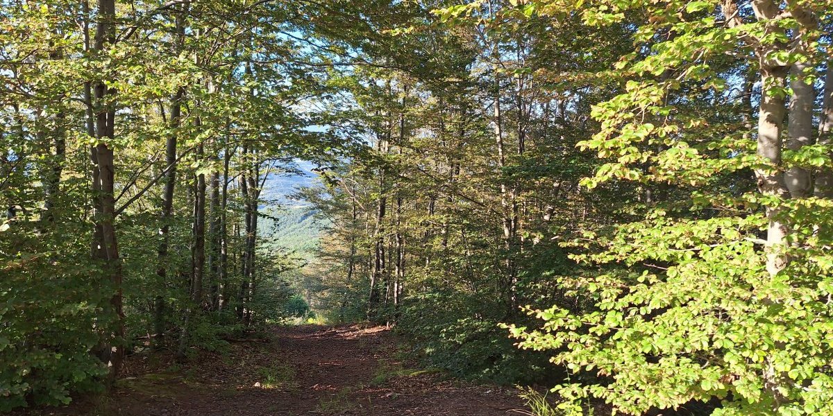 Bojanine vode - mesto na kojem je poslednji put Milan Đorđević bio