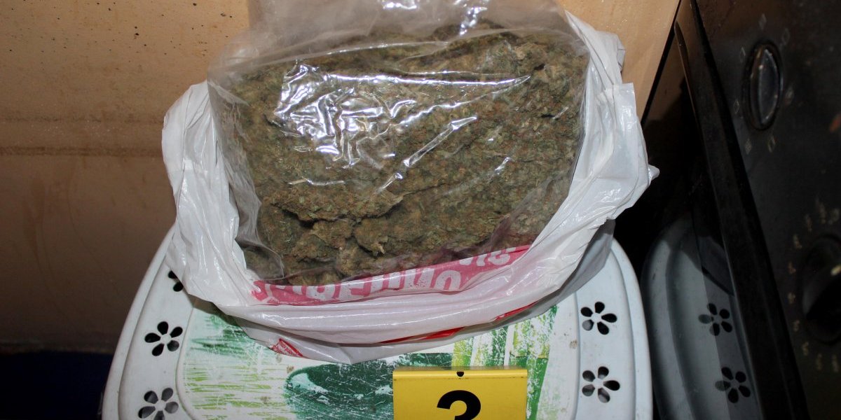 Uhapšen diler u Barajevu (20)! U šteku mu našli pola kilograma marihuane