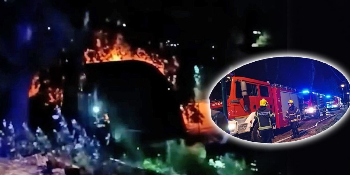 Goreo splav na Adi! Vatrena stihija izbila tokom noći na privatnom objektu, veliki broj vatrogasaca intervenisao (FOTO/VIDEO)