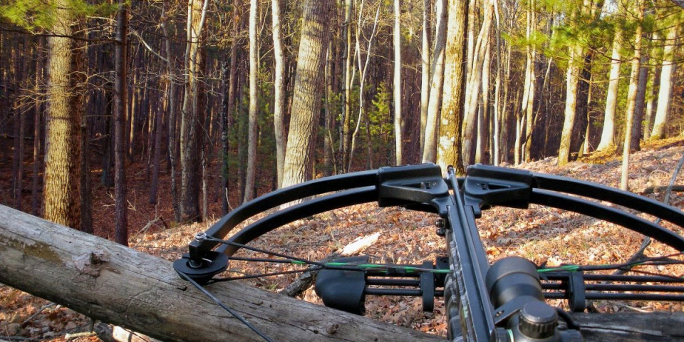 Trofeji srndaća, jelenski rogovi i meso divljači: Hapšenje u Majdanpeku zbog krivolova