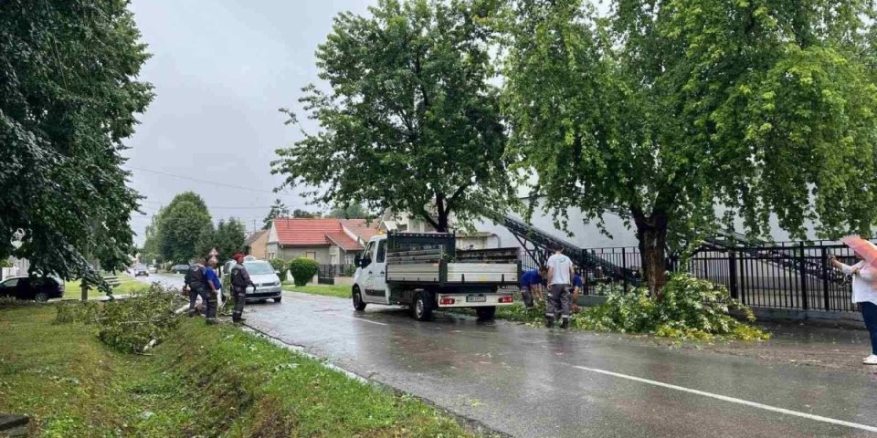 Stravično nevreme u Sremskoj Mitrovici! Jak vetar čupao drveće: U toku sanacija štete!