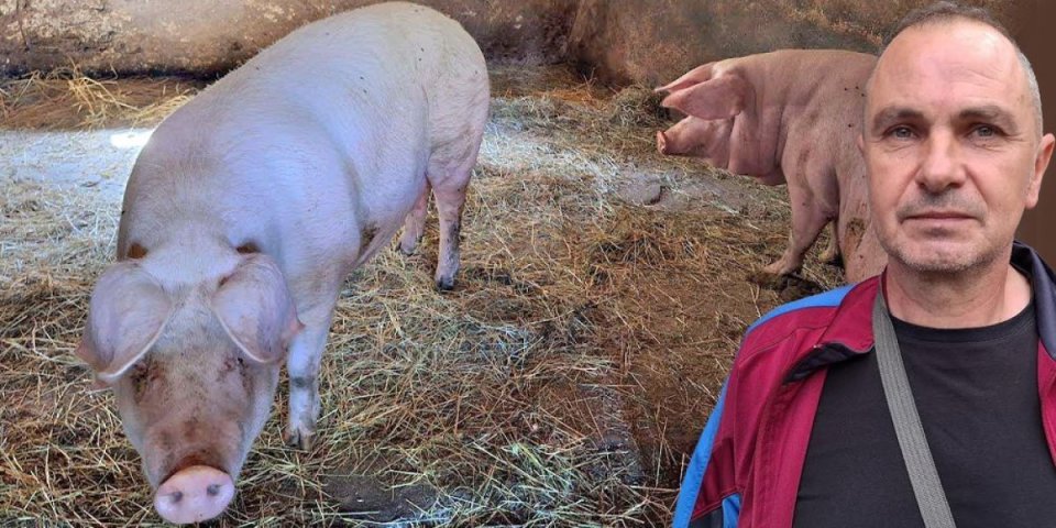 Milovana iz Bovana unakazila svinja: Ujela me, da je nisam udario u glavu ko zna šta bi bilo (FOTO)