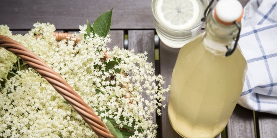 Zdravlje u čaši! Domaći sok od zove jača imunitet i pomaže u borbi protiv alergije