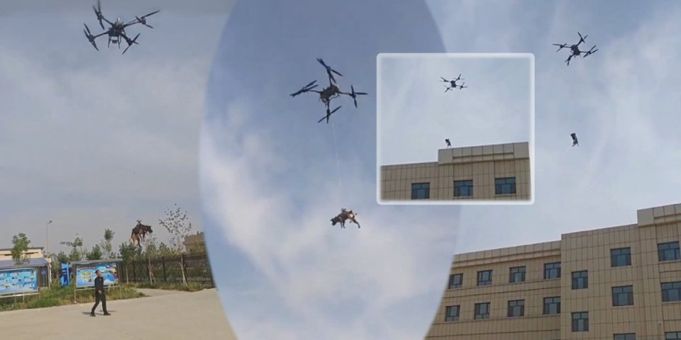 (VIDEO) Morate ovo videti! Kineska vojska sve dobro osmislila, bili su dovoljni dron i pas!