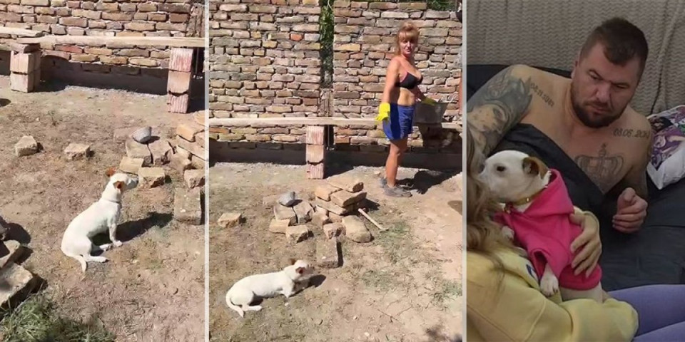 Evo ko se brine o Janjuševom psu: Svi su se pitali gde je Vesna, a sada je otkriveno gde se ona nalazi (VIDEO)