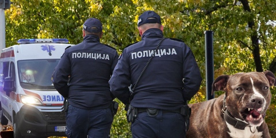 Detalji tragedije u Novom Sadu: Fatalan je bio ujed za vrat