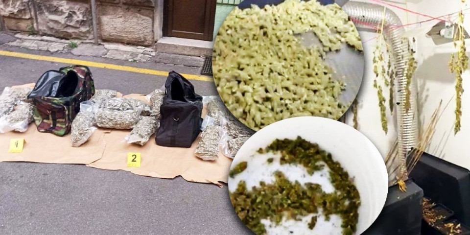 Hitno saopštenje MUP! Uhapšena sedmorica, zaplenjeno 20 kg droge (FOTO)