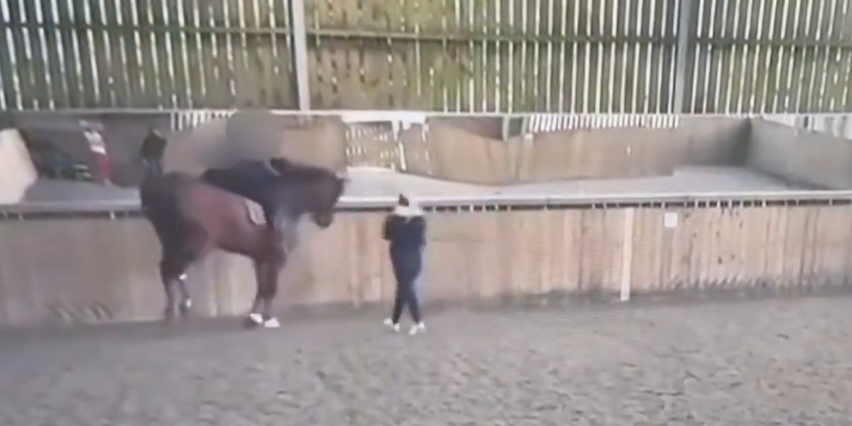 Šokantan snimak! Zlostavljala konja, sad na stubu srama, odustala od OI (VIDEO)