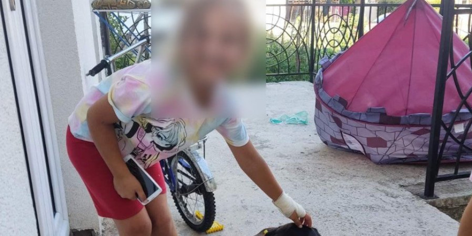 Drama u Prijepolju: Pas lutalica napao sedmogodišnju devojčicu dok se igrala u svom dvorištu!