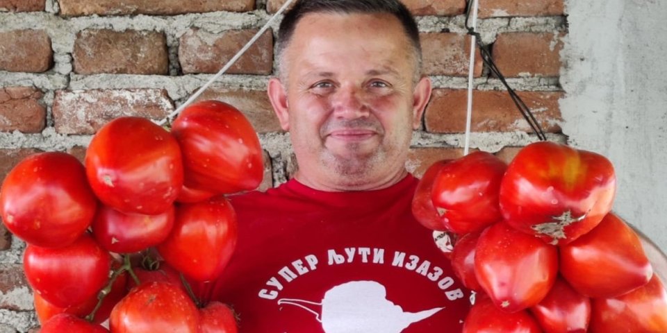Žika je rekorder na Balkanu! Gaji više od 360 sorti paradajza i sve imaju posebna imena!