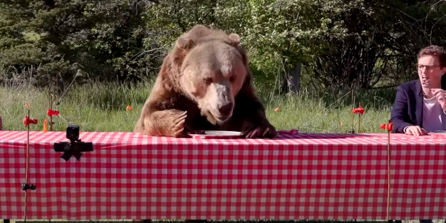 Medved seo za sto, pa napravio šou! Nesvakidašnji snimak šokirao ljude (VIDEO)