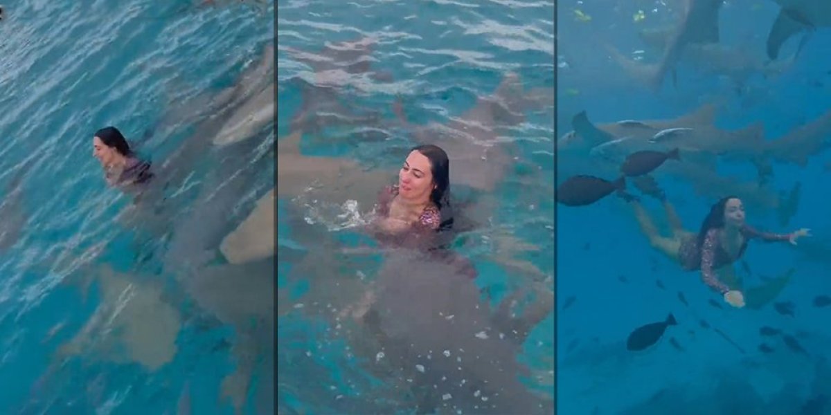 Da li biste plivali sa ovim predatorima?! Jelena letovala na Maldivima: "Ako sam mogla da upišem doktorske, mogu i da zaronim..."