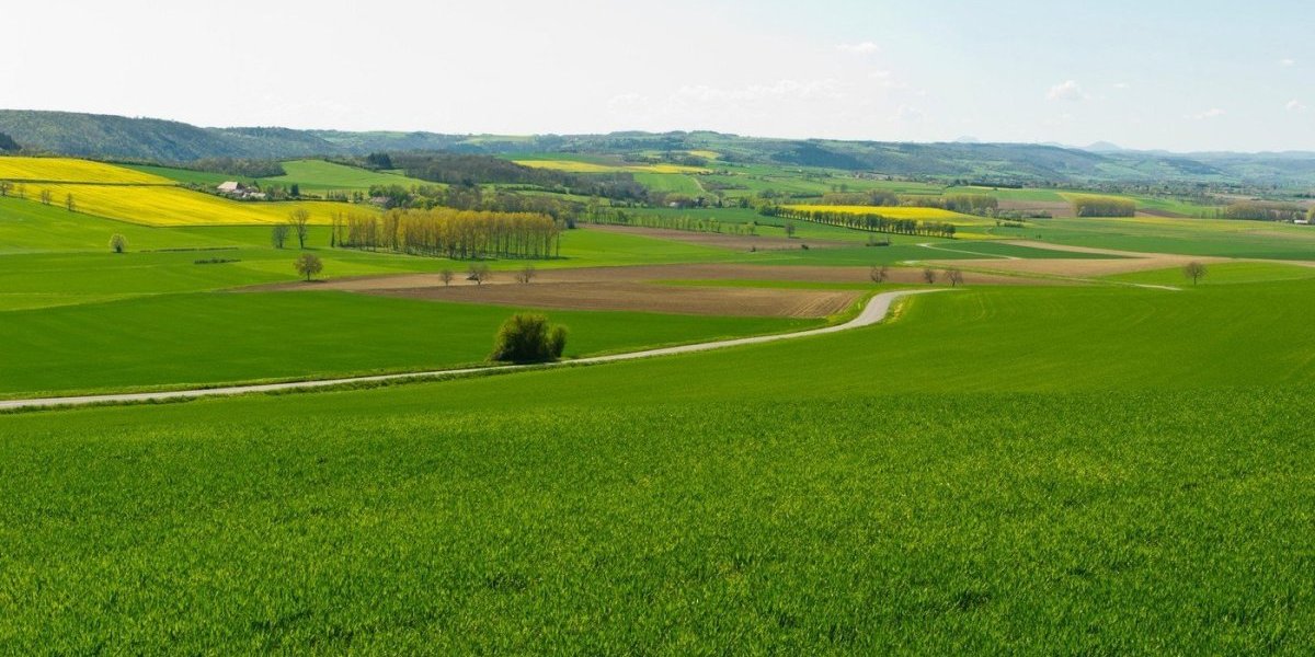 Srpsko geološko društvo: Geologija i rudarstvo su ključ ekonomskog razvoja svuda u svetu!