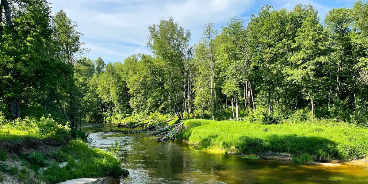 Ko je ovde lud?! Biološki fakultet hteo da nastavi saradnju sa Rio Tintom, a onda se odjednom okrenuli i protiv njih i protiv sopstevih zaključaka! (FOTO)