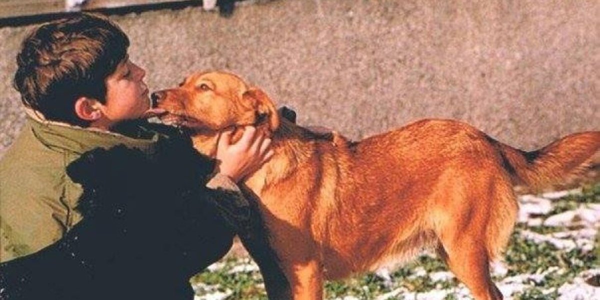 Mama, došla nam je Dena! Potresna priča o keruši koja je posle "Oluje" prešla 500 kilometara i pronašla svoju porodicu! (FOTO)