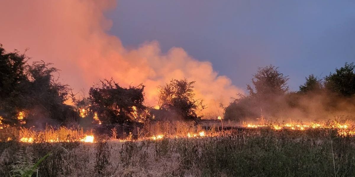 Bukti poljski požar u Batajnici! Povređena jedna osoba, Hitna na terenu!