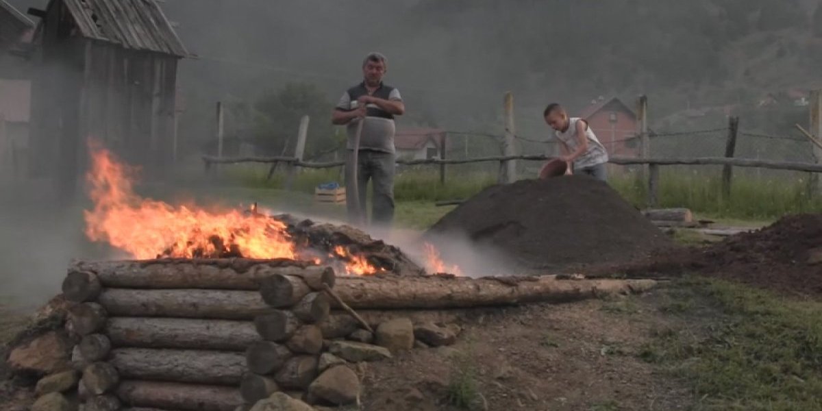 Zanat koji izumire ipak živi na srpskoj planini! Evo kako Zlatiborci prave magični lek od borove smole (FOTO)