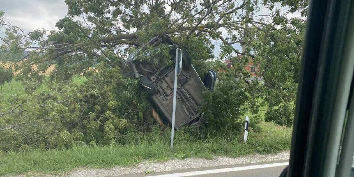 Sleteo s puta, zakucao se u drvo pa pobegao: Policija u Kragujevcu traga za vozačem