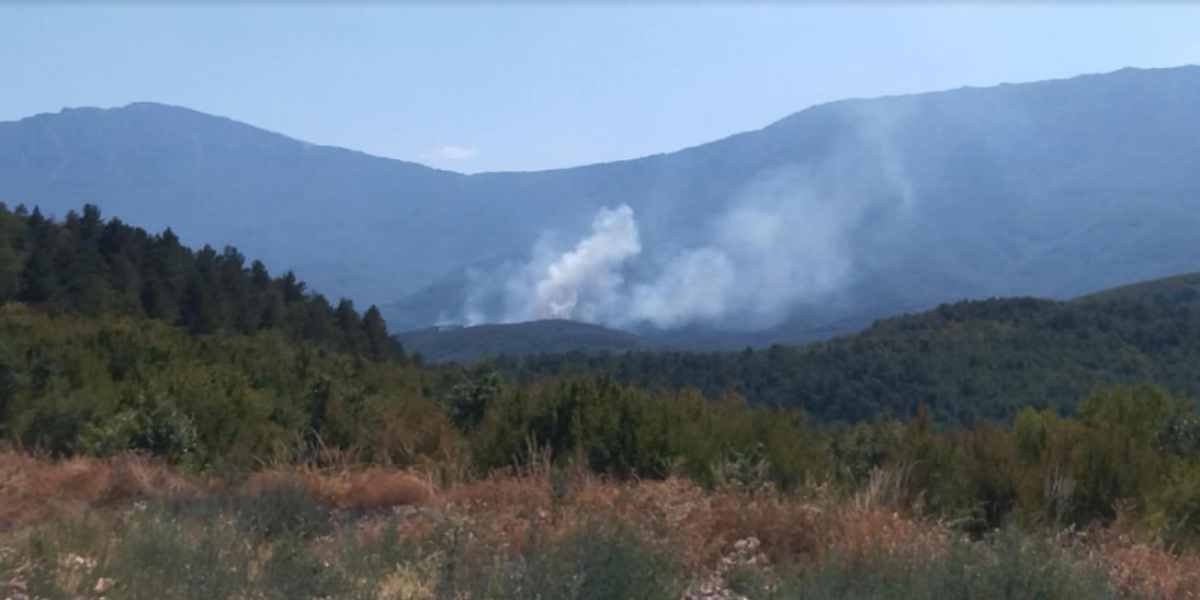 Vatrogasci na mukama! Bukti Suva planina kod Bele Palanke, požar zahvatio borovu šumu