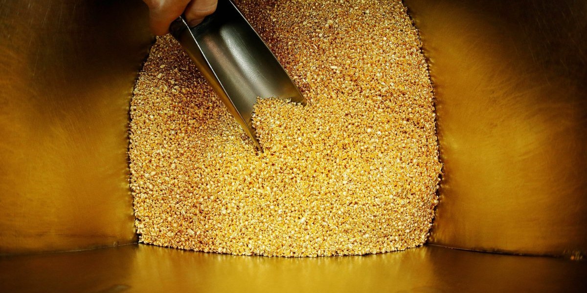 Pronađeno zlato u drveću: Raste u Srbiji i ima ga na pretek