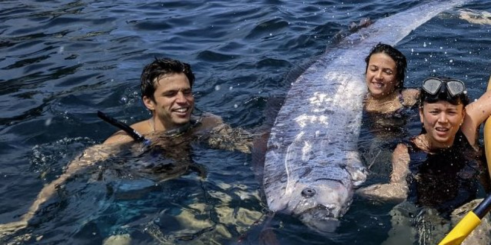 "Riba sudnjeg dana" za koju se veruje da najavljuje zemljotrese i katastrofe nasukala se na obalu Kalifornije! (FOTO)