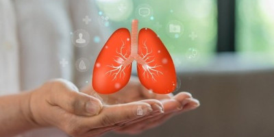 Prašina, smog, duvanski dim, plesan, štetni mikroorganizmi... ugrožavaju rad pluća, a posledica toga je smanjeni unos kiseonika, kao i teško disanje.