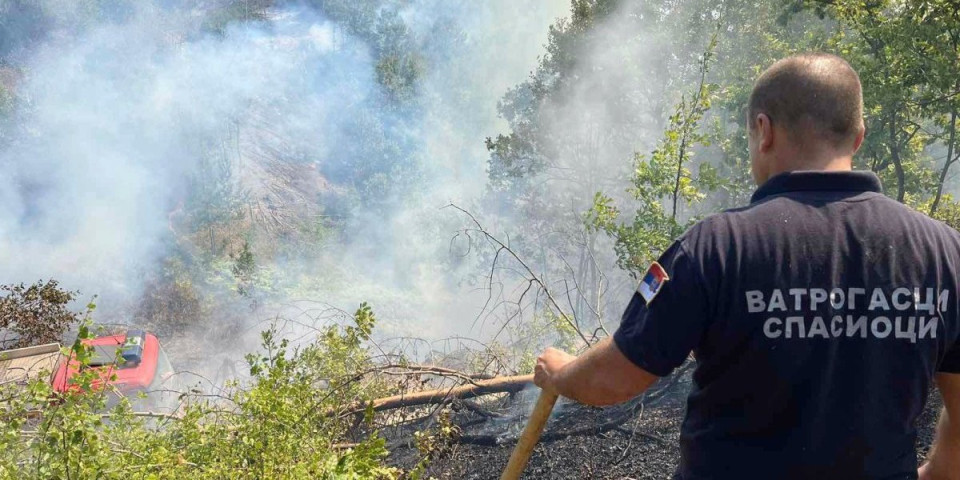 Dve osobe izgorele u požaru kod Ljubovije! Gasili rastinje i šumu u selu Donja Ljuboviđa!