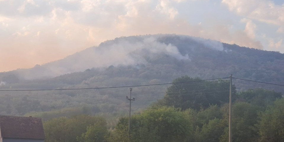 Posle tri dana zauzdana vatra pod Bukuljom! Više od 100 vatrogasaca i dobrovoljaca gasilo požar!