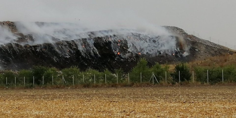 Bukti požar kod Kladova! Vatrogasci u akciji, a evo šta gori