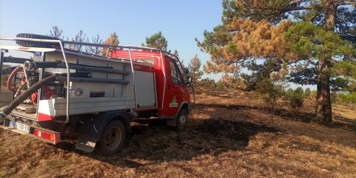 Da ne pade kiša, ko zna šta bi bilo! Na Zlatiboru se lakše diše