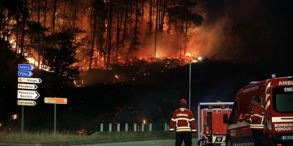 (FOTO, VIDEO) Stravični požari u Portugalu! Naređena hitna evakuacija, stiže pomoć iz Maroka i Španije!