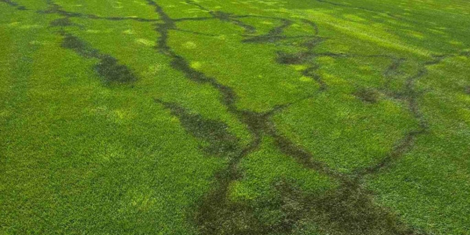 Skandal, derbi pod upitnikom? Uništen teren u Humskoj (FOTO)