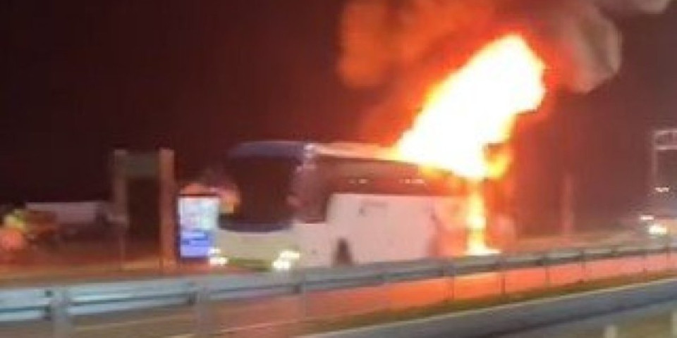 Drama kod Surčina! Zapalio se autobus, vatrena stihija guta vozilo, vatra i dim dostigli ogromnu visinu (VIDEO)