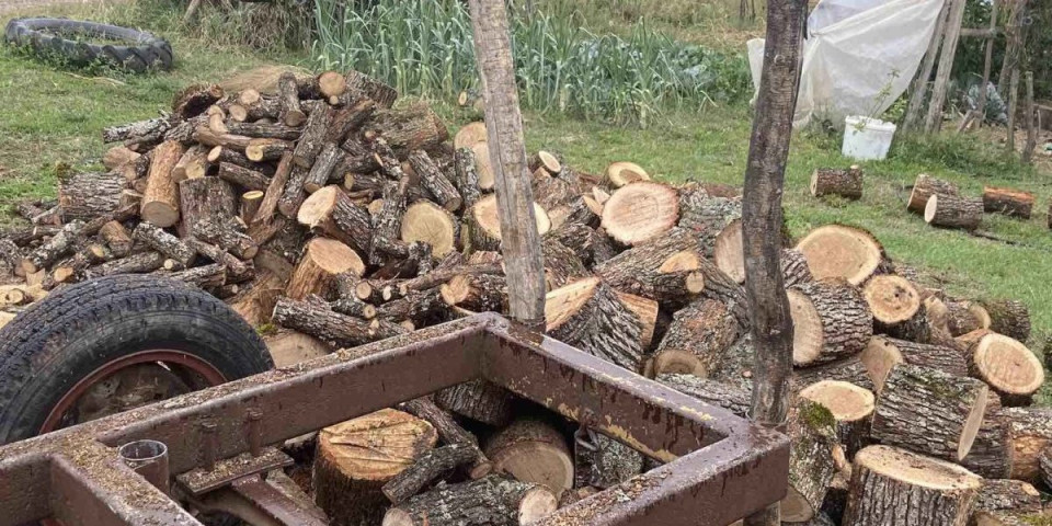 Za svaku pohvalu! Omladina nam zadala domaći zadatak: Aktivisti iz Deliblata pokazali humanost na delu