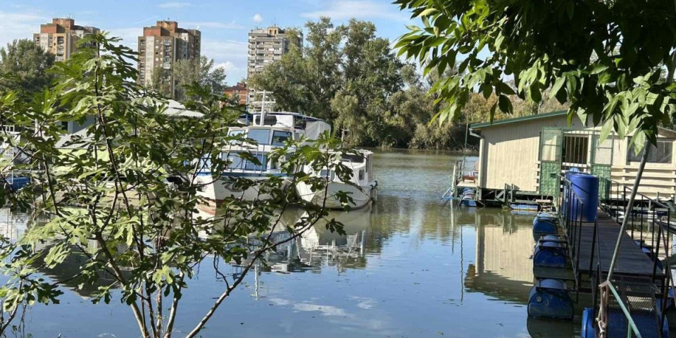 Ušli smo u pik poplavnog talasa! Voda probila u 3 naselja kod Novog Sada, a evo kako će se vodostaji kretati do ponedeljka