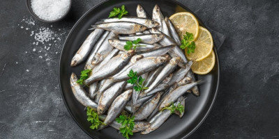 Iako sardine imaju brojne zdravstvene prednosti, nisu pogodne za svakoga.