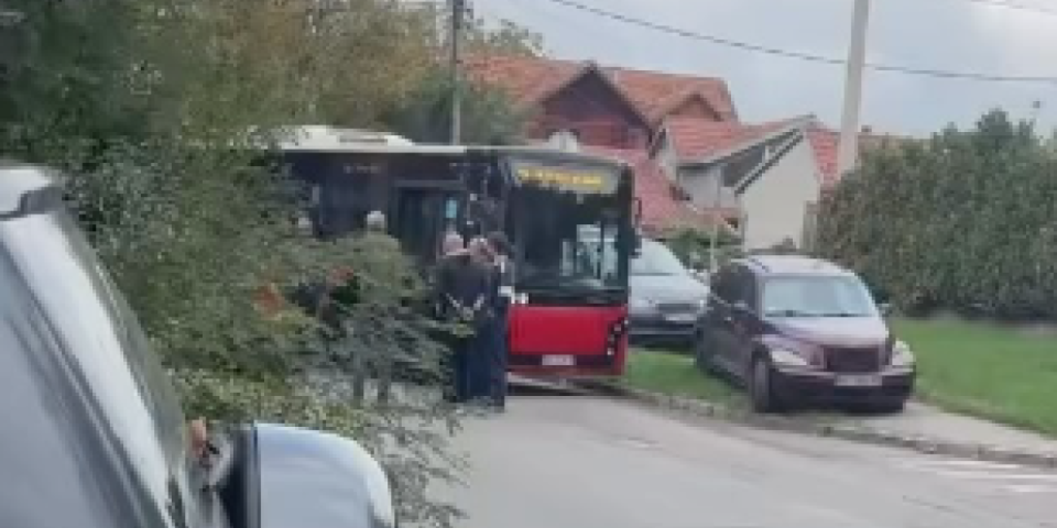 Bahatost na delu! Vozač prekrio tablice i blokirao autobuse u Zemunu - građani zahtevaju najoštriju kaznu