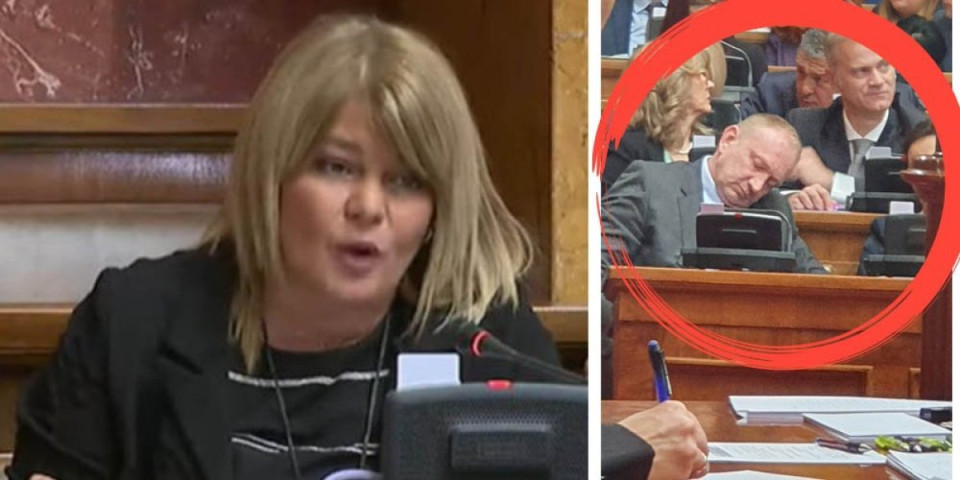 Moj debeli lade, zašto ljudi rade?! Nestorovićeva ubila u pojam Đilasa, tajkun drema usred Skupštine! (FOTO)