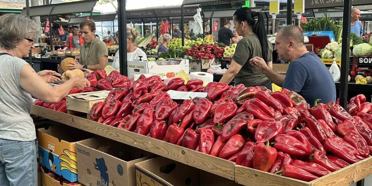 Povrtari sa juga zadovoljni zaradom: Papriku ajvarušu prodaju za upola manje para nego u Beogradu