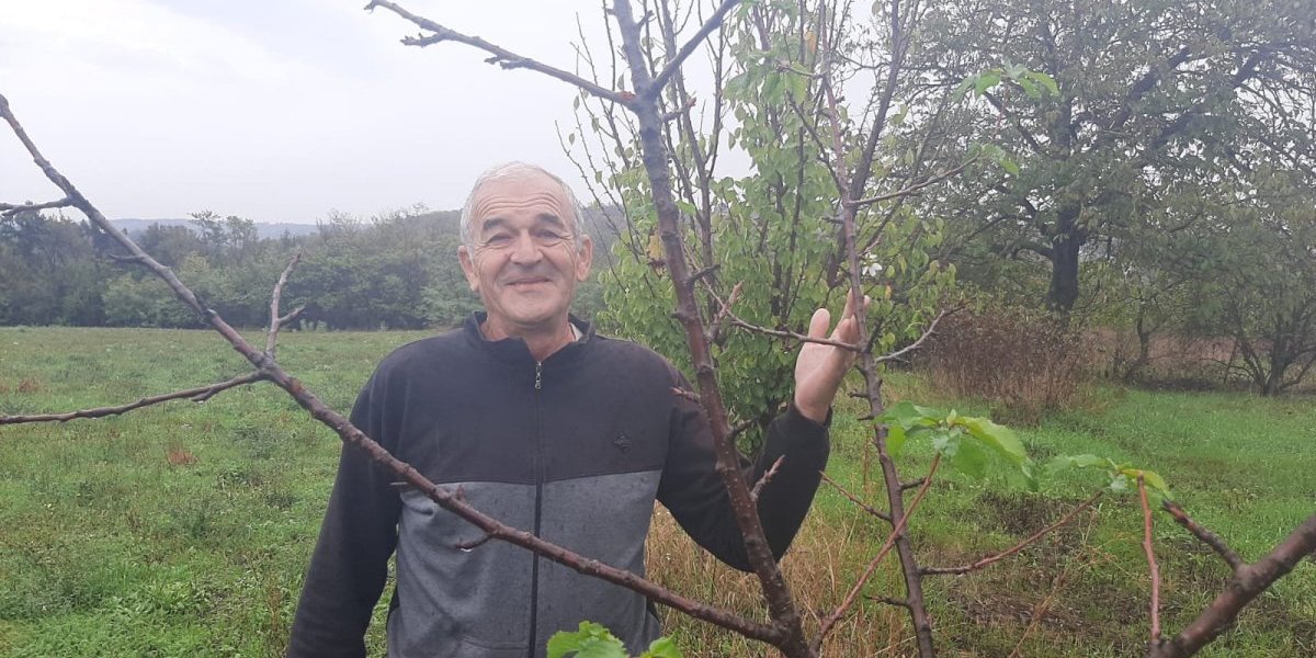 Jesenje čudo! Opet cvetala trešnja! U narodu postoji verovanje koje vam se neće svideti