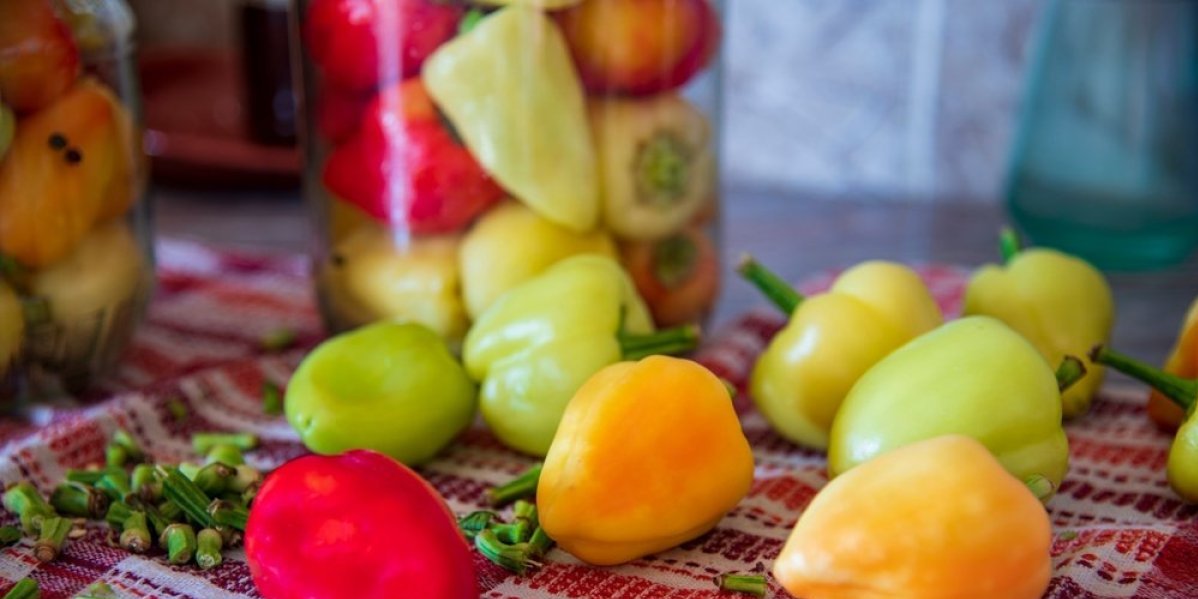 Zimnica koju sprema svaka kuća! Neprevaziđeni recept za paprike somborke