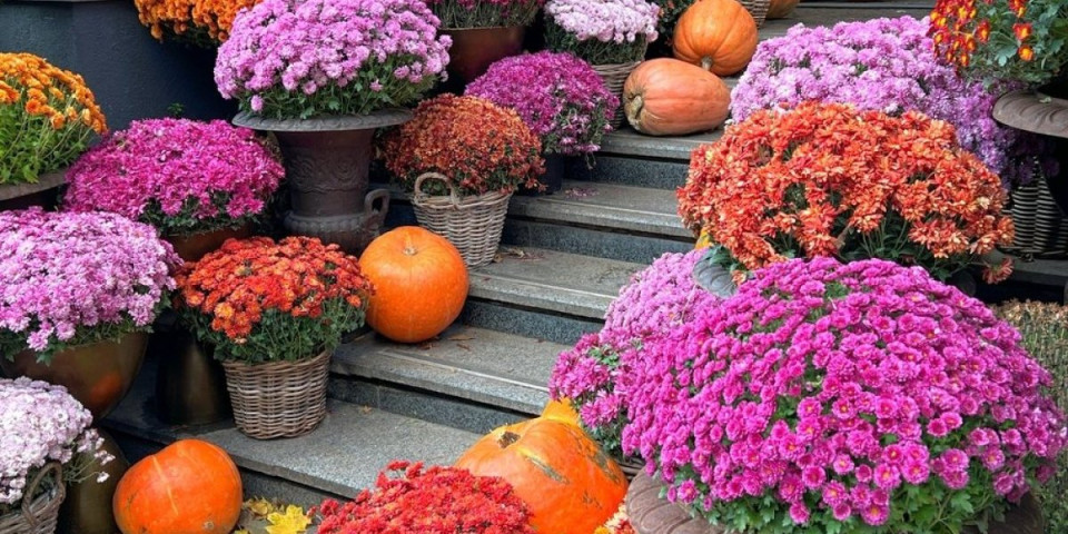 Oproštaj od Cvetne pijace u Novom Sadu u petak i subotu