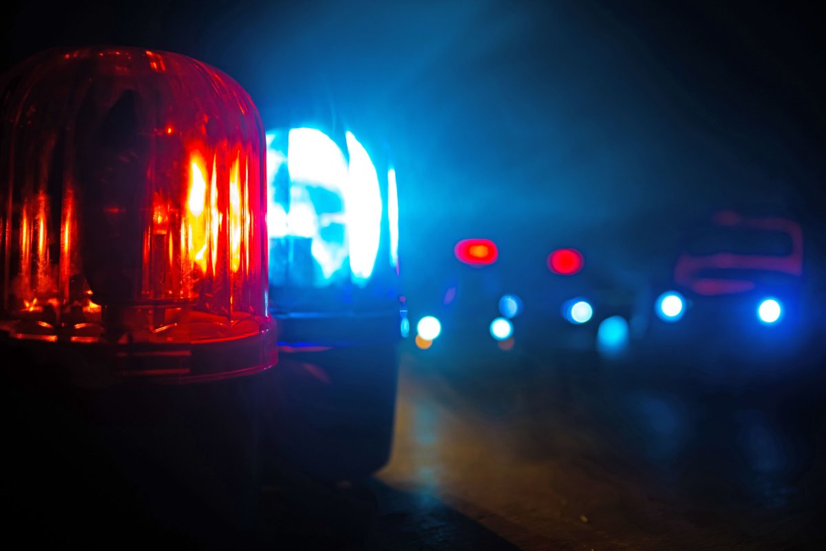 Akcija policije u Vranju i reakcija Stefani Grujić