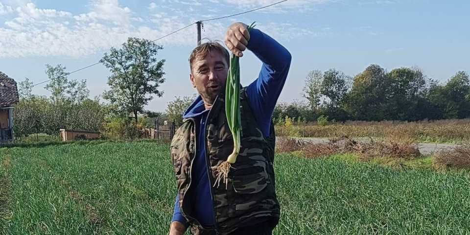 Čudo u Šapcu! Zeleni se njiva - u jesen mu "na divlje" nikao mladi luk!