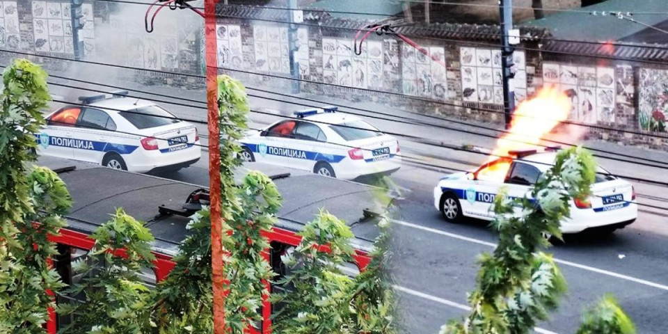 Buktinja na Kalemegdanu! Zapalio se policijski automobil pored Zoološkog vrta! (FOTO/VIDEO)