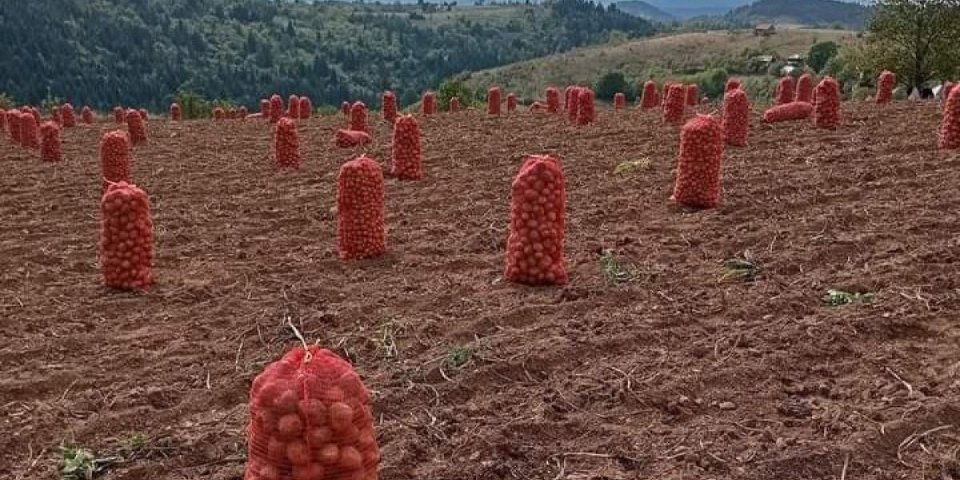 Ko je sve ovo pokupio? Najtraženije radnice u Zlatarskom kraju