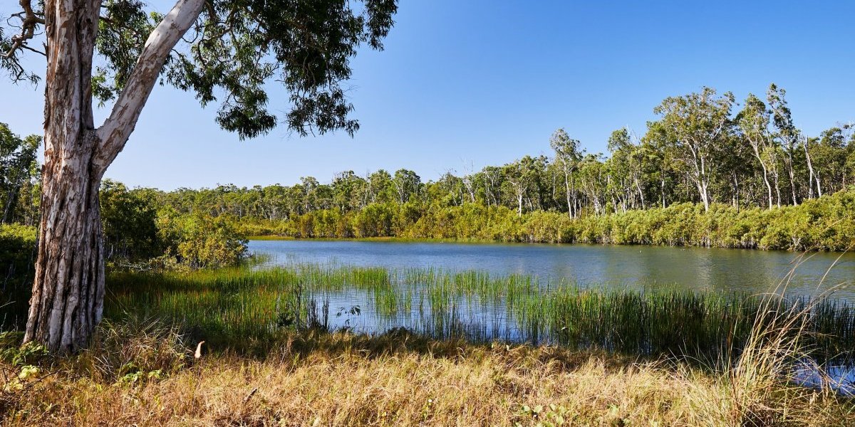 Reakcija rukovodstva Zavoda za zaštitu prirode Srbije na netačne navode povodom izdavanja uslova za zaštitu prirode za projekat „Jadar“­