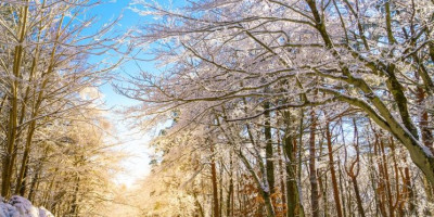 Sutra nas očekuje toplo i sunčano vreme, a od subote će biti još toplije, nakon čega dolazi do zahlađenja.